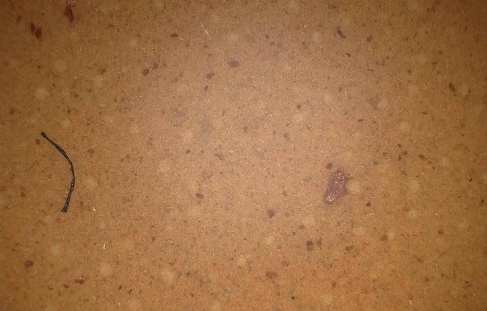 Particles in an oil sample under the microscope